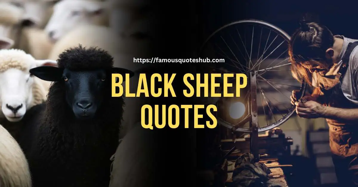 black sheep quotes
